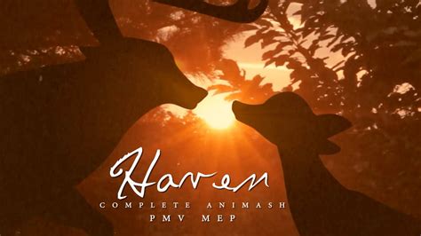 prismpmv|PMV Haven .